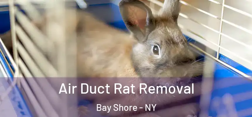 Air Duct Rat Removal Bay Shore - NY