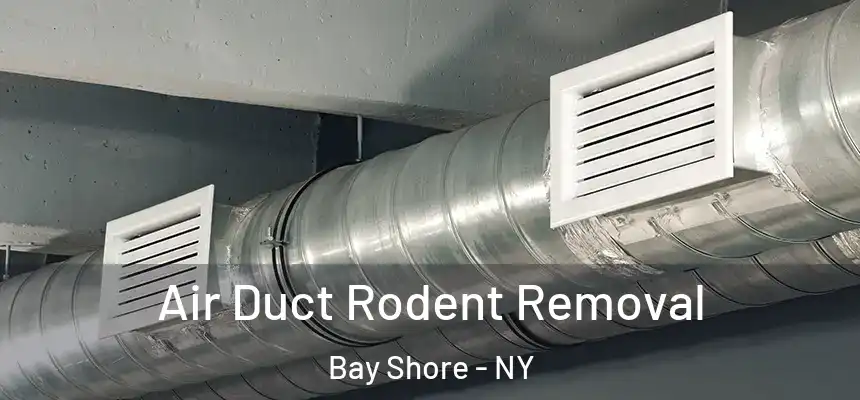  Air Duct Rodent Removal Bay Shore - NY