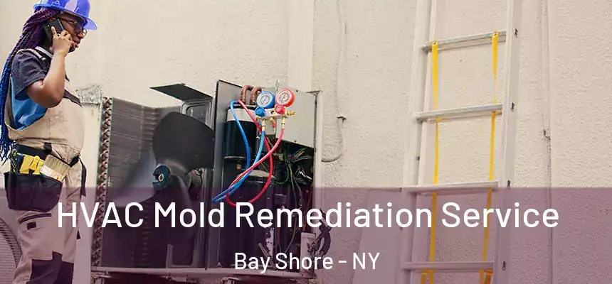  HVAC Mold Remediation Service Bay Shore - NY