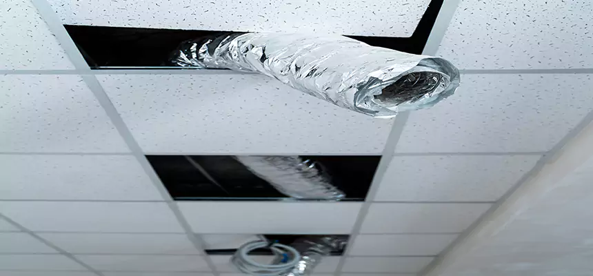 Affordable HVAC Sanitizing After Pest Removal in Bay Shore