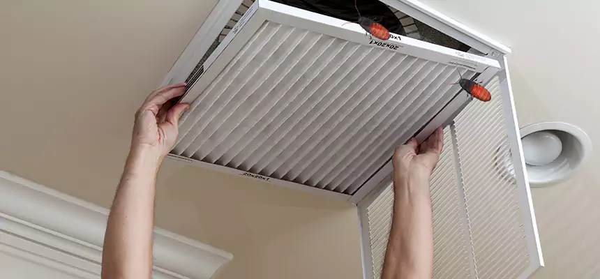 Our Insect Removal from Air Ducts Services in Bay Shore, NY