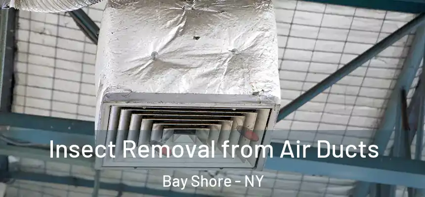 Insect Removal from Air Ducts Bay Shore - NY