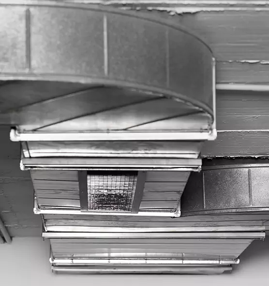 Professional Air Duct Pest Removal in Bay Shore, NY