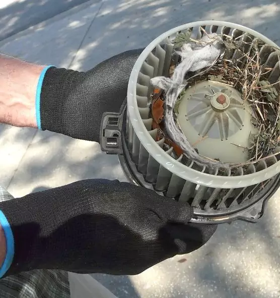 About Air Duct Rat Removal in Bay Shore, NY