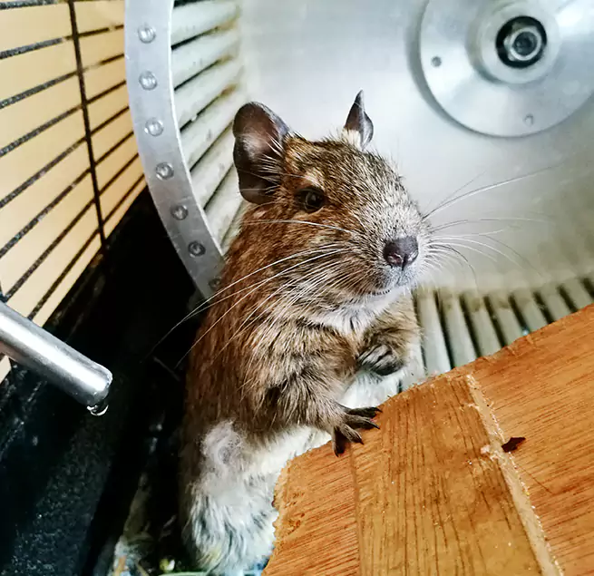 Why Homeowners & Businesses Trust Us Bay Shore, NY