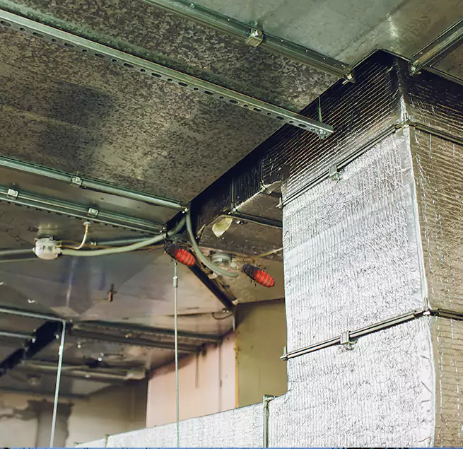 Why Homeowners & Businesses Trust Us Bay Shore, NY?