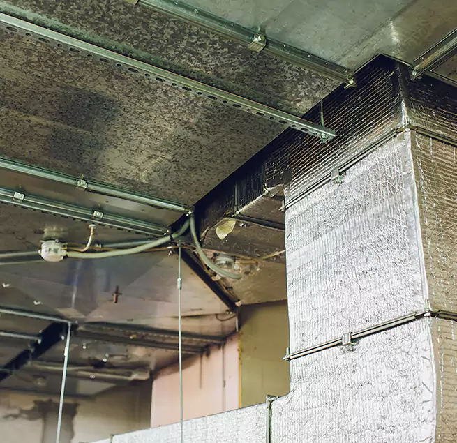 Why Homeowners & Businesses Trust Us in Bay Shore, NY?